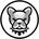 https://s1.coincarp.com/logo/1/pitbullcommunity.png?style=36's logo