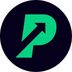 PlayPoint P2E's Logo