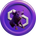 POLYBULL