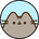 Pusheen
