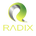 https://s1.coincarp.com/logo/1/radix-win.png?style=36&v=1681972668's logo