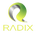 https://s1.coincarp.com/logo/1/radix-win.png?style=36&v=1681972668's logo
