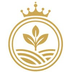 Harga RAI Token Hari Ini: Grafik RAI dalam IDR dan USD | CoinCarp