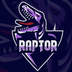 Raptor's Logo