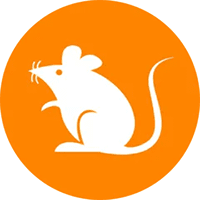 Top 100 rats Rich Address List | CoinCarp
