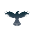 Raven Protocol's Logo