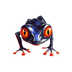 Red-Eyed-Frog's Logo