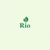 RIOA's Logo