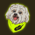 Robinhood Dog's Logo