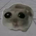 https://s1.coincarp.com/logo/1/sad-hamster.png?style=36&v=1715047231's logo