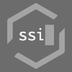 Safe Superintelligence tokenized stock (PreStocks)'s Logo