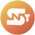 Share NFT Token's Logo
