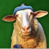 Sheep Wif Hat's Logo