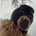 https://s1.coincarp.com/logo/1/ski-mask-dog.png?style=36&v=1713925490's logo