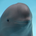 https://s1.coincarp.com/logo/1/smiling-dolphin.png?style=36&v=1728607426's logo