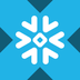 Snowflake tokenized stock (xStock)'s Logo