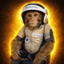 Space Monkey's Logo