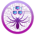 Spider Coin's Logo