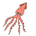 https://s1.coincarp.com/logo/1/squidship.png?style=36&v=1732588901's logo