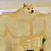 Swole Chad Doge's Logo