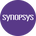 Synopsys Inc Tokenized Stock