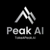 Peak AI's Logo