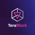 TeraBlock's Logo