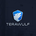 Terawulf Tokenized Stock's logo
