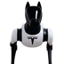 Tesla Dog's Logo