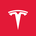 Tesla Inc Tokenized Stock (Coinbase)'s logo