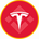 Tesla Tokenized bStocks's logo
