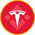 Tesla Tokenized bStocks's Logo