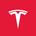 Tesla Tokenized gStocks's logo
