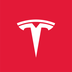 Tesla Tokenized gStocks's Logo