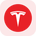 Tesla Tokenized Stock (Reality)'s logo