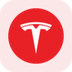 Tesla Tokenized Stock (Reality)'s Logo