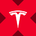 Tesla tokenized stock (xStock)