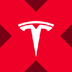 Tesla tokenized stock (xStock)'s Logo