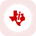 Texas Instruments Tokenized Stock (Reality)'s logo