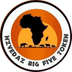 The Big Five Token's Logo