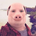 The Cult of John Pork's logo