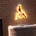 the flying squirrel