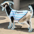 The Messi Goat's Logo