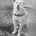 The most loyal dog Hachiko