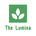 https://s1.coincarp.com/logo/1/thelumina.png?style=36&v=1702285663's logo