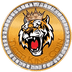 Tiger King Coin's Logo