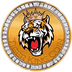 Tiger King Coin's Logo