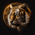 TigerMoon's Logo