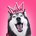 https://s1.coincarp.com/logo/1/tiktok-talking-husky.png?style=36&v=1732241045's logo