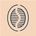 Toffeenut's logo